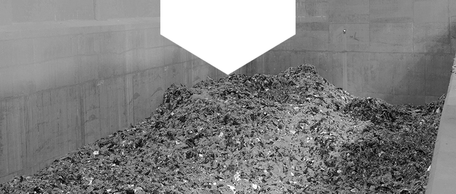 Waste Management & Sanitation